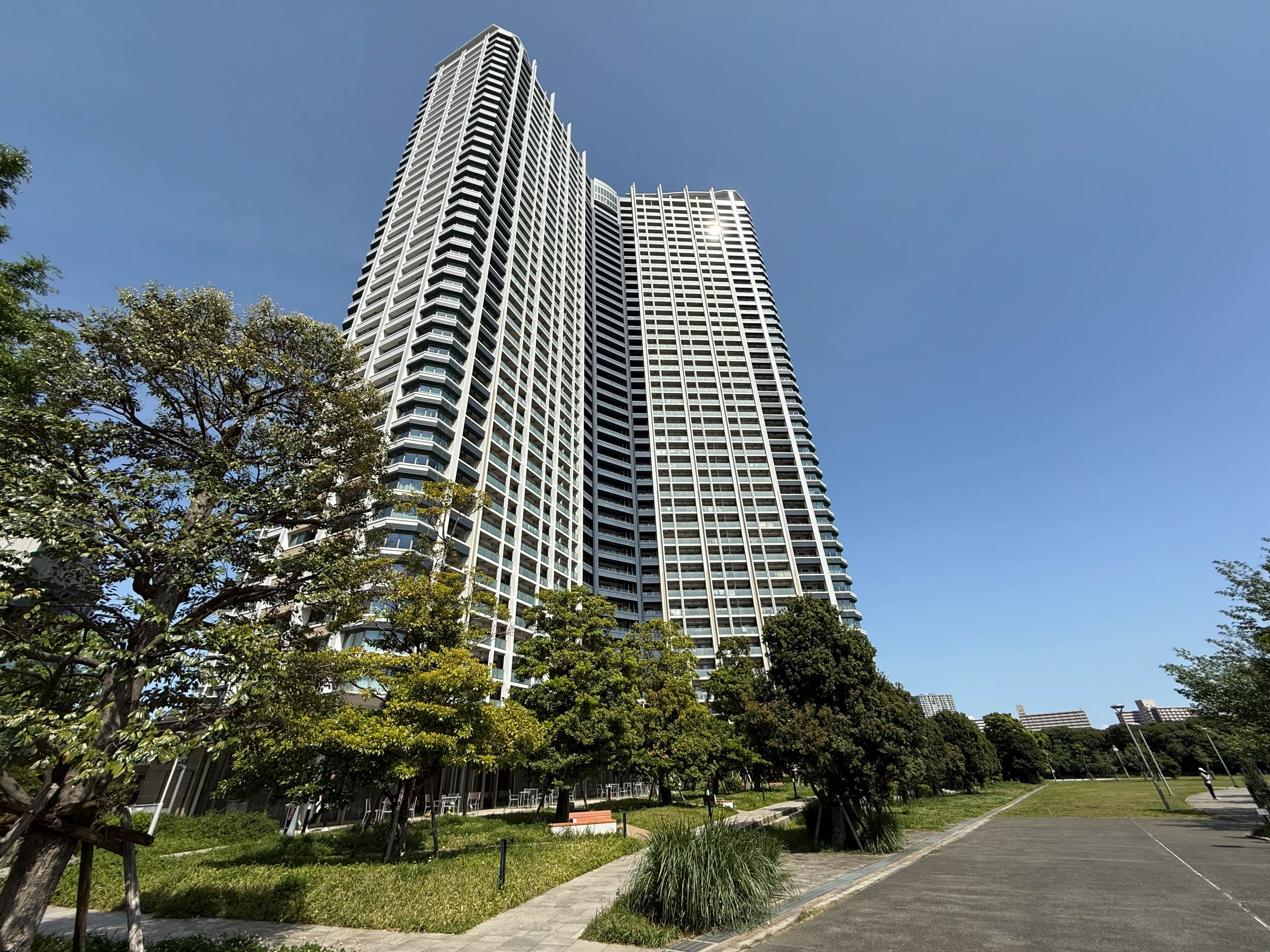 関　智子