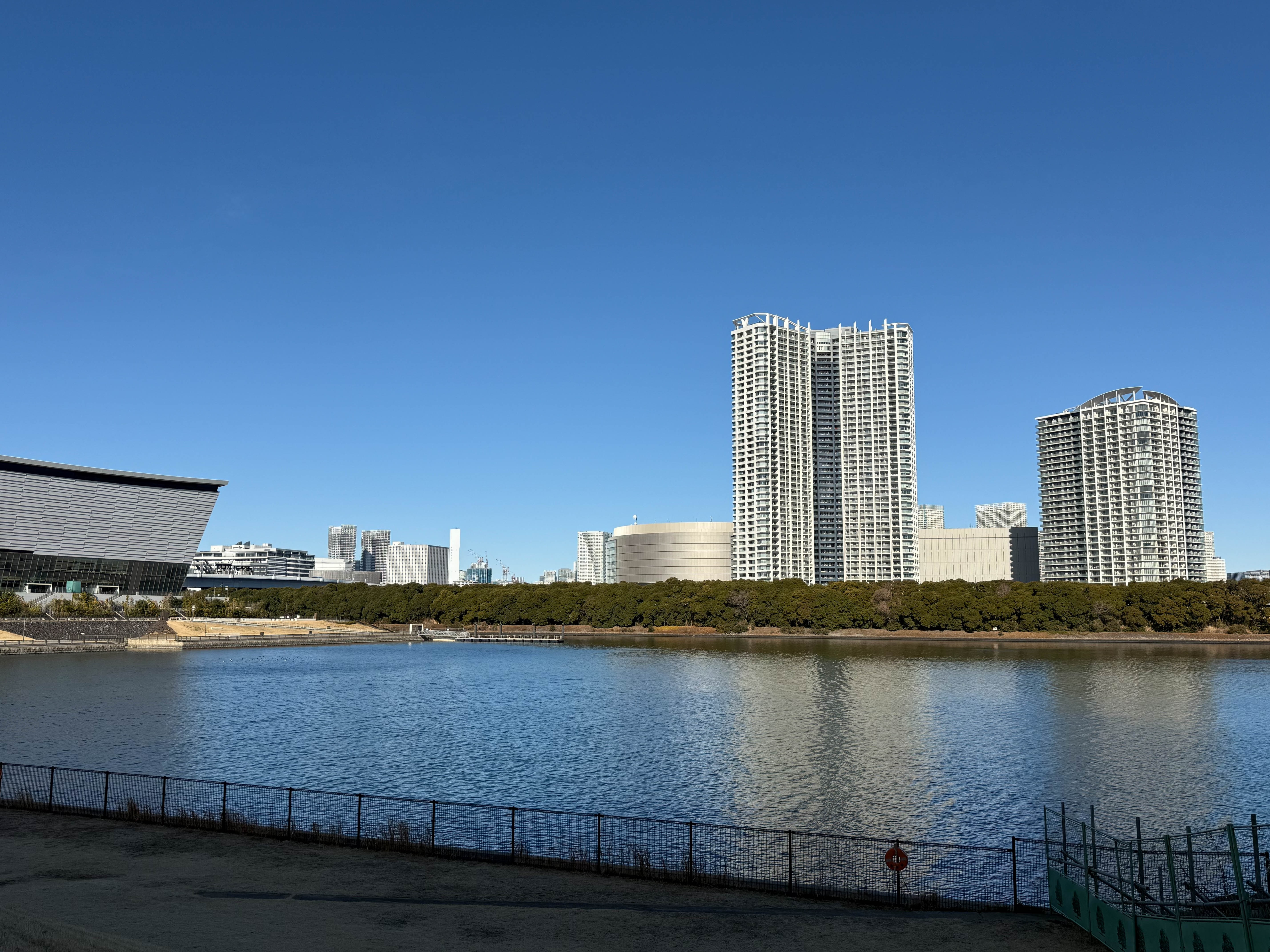 関　智子