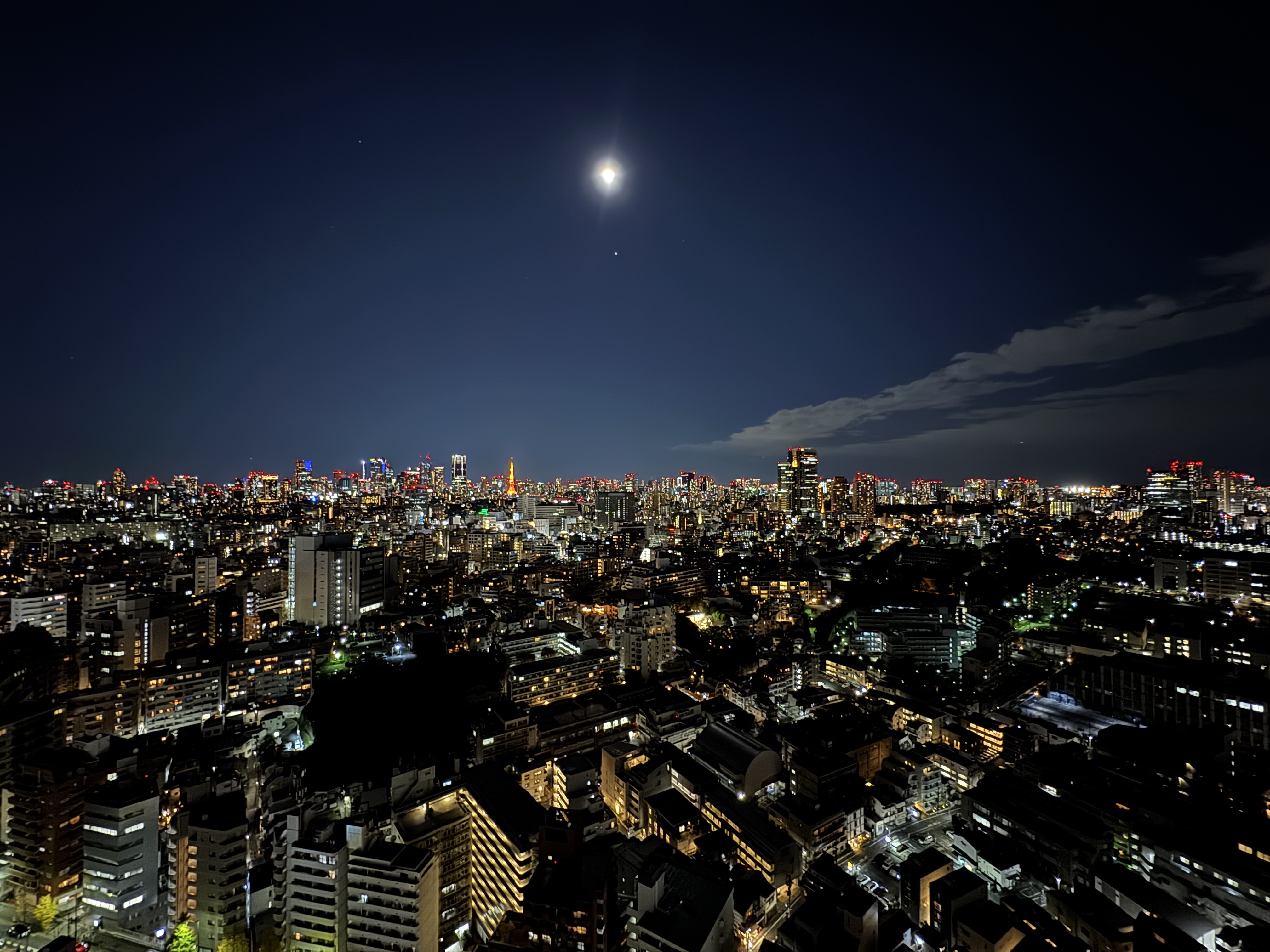 丁寧にサポートいただきました